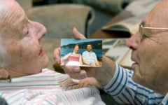 feroi-foto