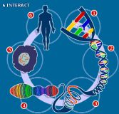 Dna-04-goog