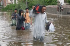 pakistan-plymyres