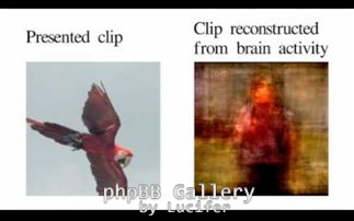 precented-chip