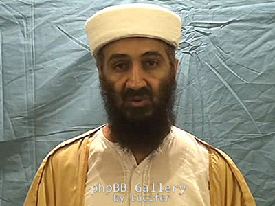 bin laden